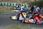 DSC (1173)